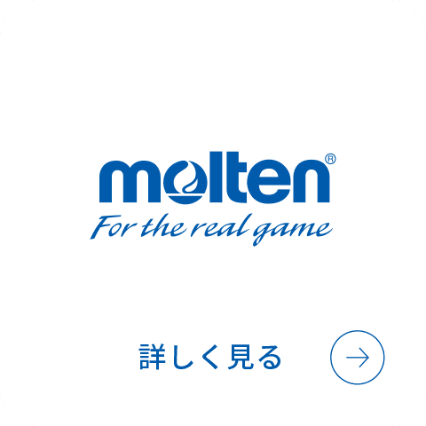 moltenのプロダクトインフォメーションサイト